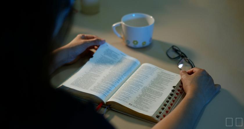 笔栈降AI率,笔栈降AI官网,笔栈降AIGC率,笔栈论文查重系统